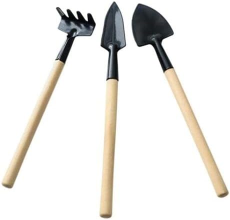 31hdhvAO-pL._AC_SL1500_