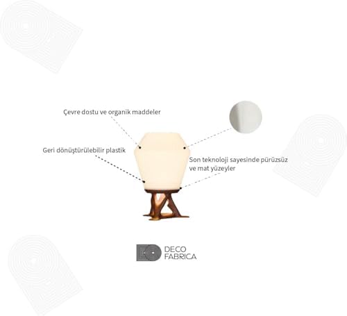 Modern Organik Tasarım Masa Lambası – Akışkan Formlu Minimalist | Ev ve Ofis İçin Doğal İlhamlı Dekoratif Aydınlatma