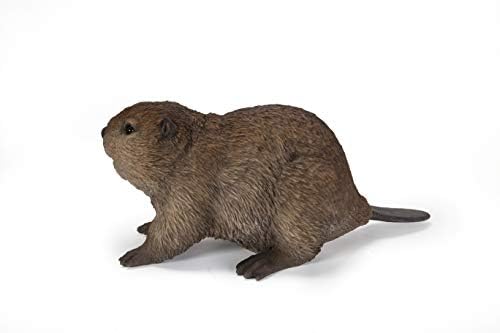 31wkxql6dHL._AC_SL1500_