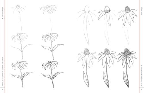 Draw Like an Artist: 100 Flowers and Plants: Step-by-Step Realistic Line Drawing * A Sourcebook for Aspiring Artists and Designers: Volume 2