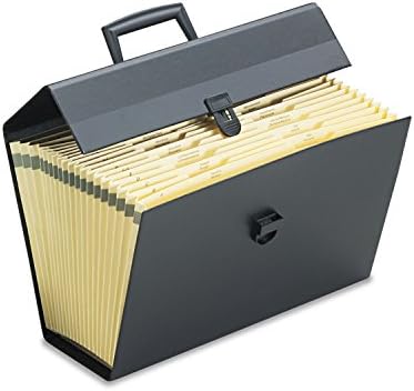 Portafile Expanding Organizer with 19 Pockets,,