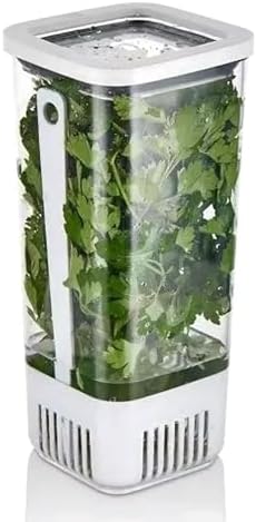 Yeşillik Saklama Kabı 1700 ML