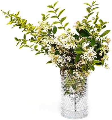 Cam Vazo/Mumluk (17 cm)