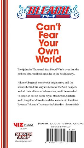 Bleach: Can't Fear Your Own World, Vol. 2: Volume 2