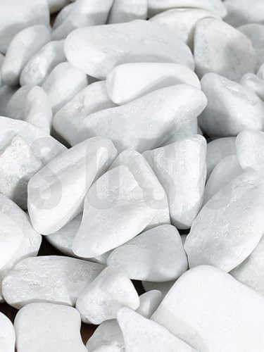 Natural Beyaz Dolomit Dekoratif Çakıl Taşı, 2-4 cm, 3 kg, İç ve Dış Mekan Peyzaj için