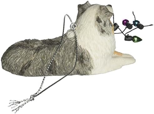 41pkUbrWMiL._AC_SL1500_