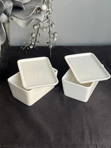 Porselen Dikdörtgen Sunum Kabı