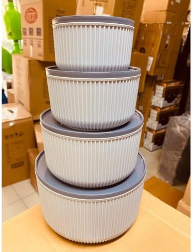 4'lü Modern Saklama Kabı Seti, Çizgili Bej Plastik, BPA İçermeyen, Mikrodalga ve Dondurucu Uyumlu, 2.5L-1.5L-0.80L-0.45L Kapasiteli, Yuvarlak Tasarım