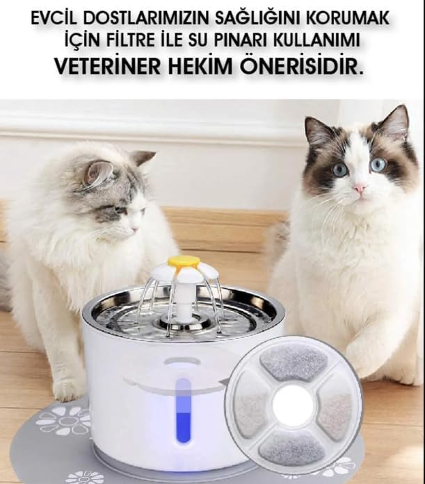 510x3B7DNpL._AC_SL1500_