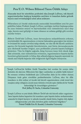 Bilincin Tarihi - İnsan Beyninin Gelişiminin 4 Milyar Yıllık Hikayesi