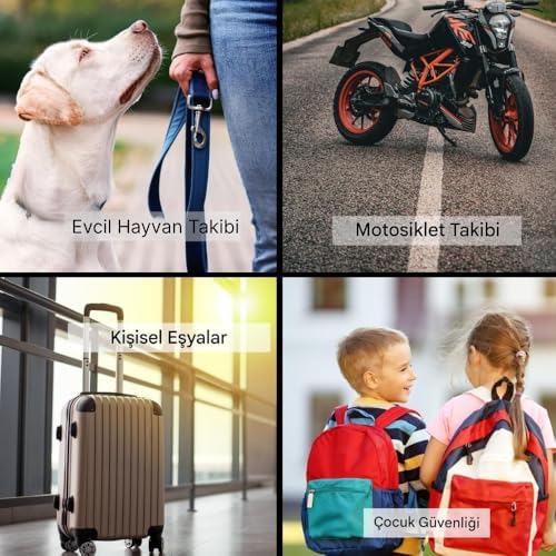 51kLoN4YNfL._AC_SL1500_