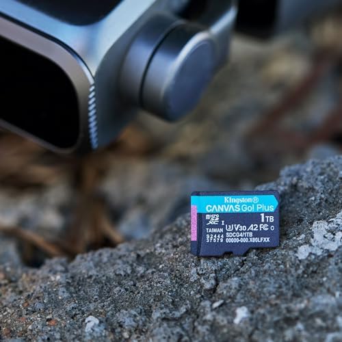 256GB Canvas Go Plus microSD Card | Up to 200MB/s | 10, UHS-I, U3, V30, A2 | SDCG4/256GB