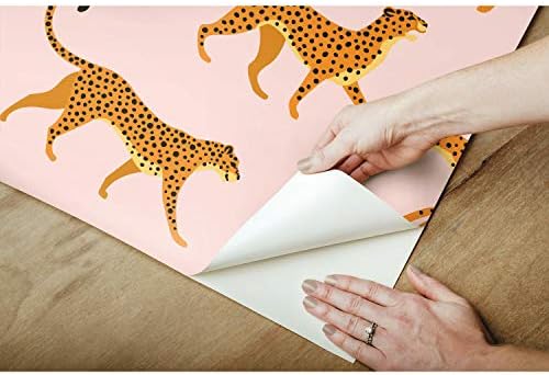 51zIxB-ZDgL._AC_SL1500_