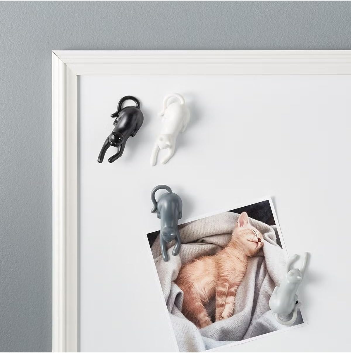 61Dbe5zWY4L._AC_SL1500_