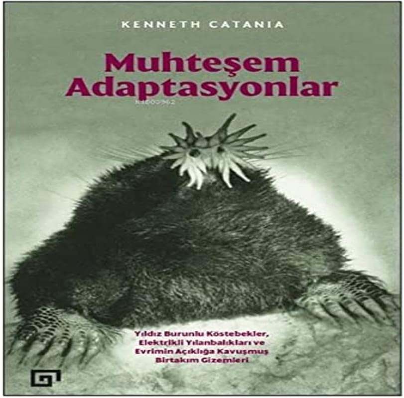 Muhteşem Adaptasyonlar