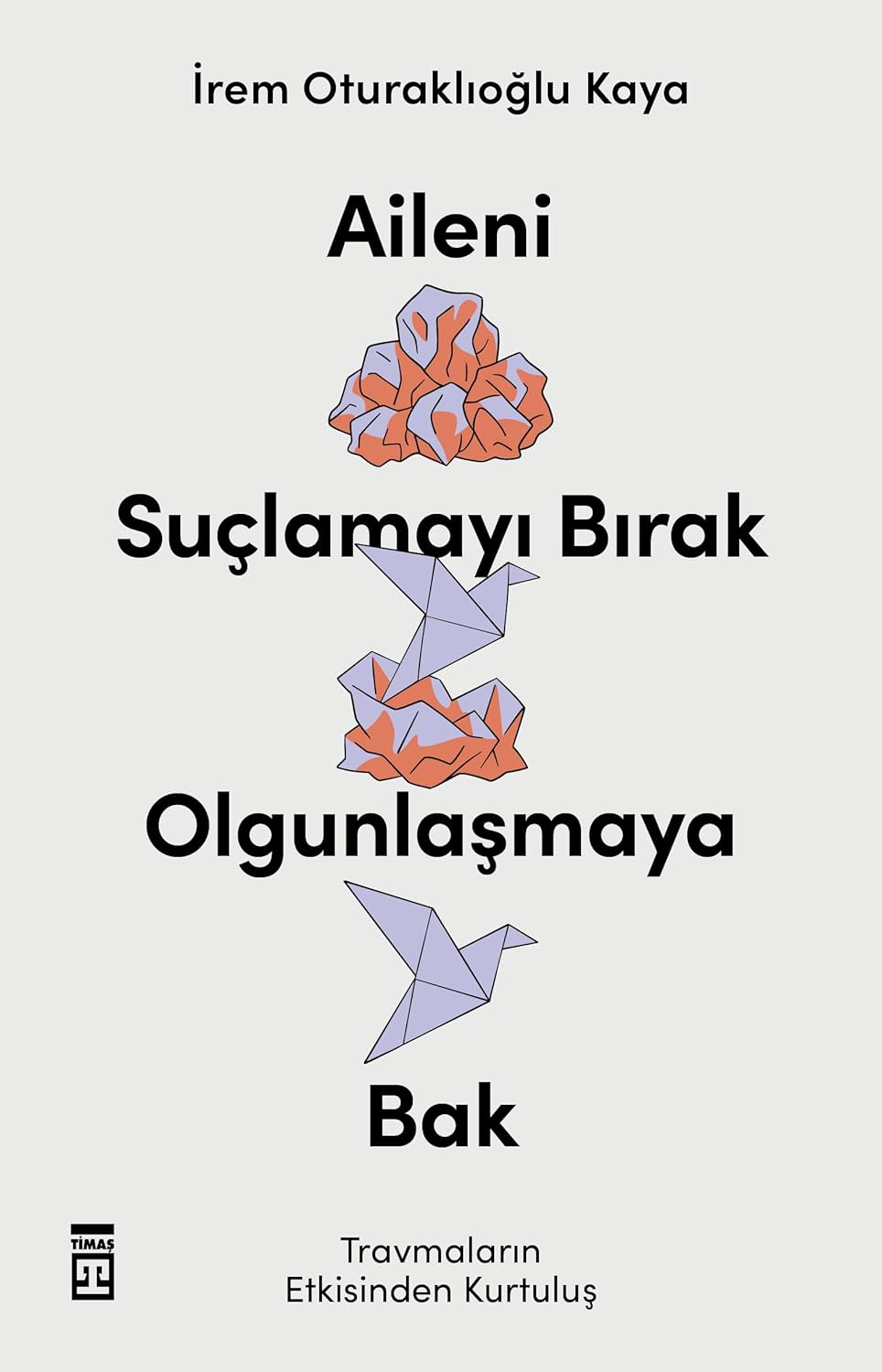 Aileni Suçlamayı Bırak Olgunlaşmaya Bak