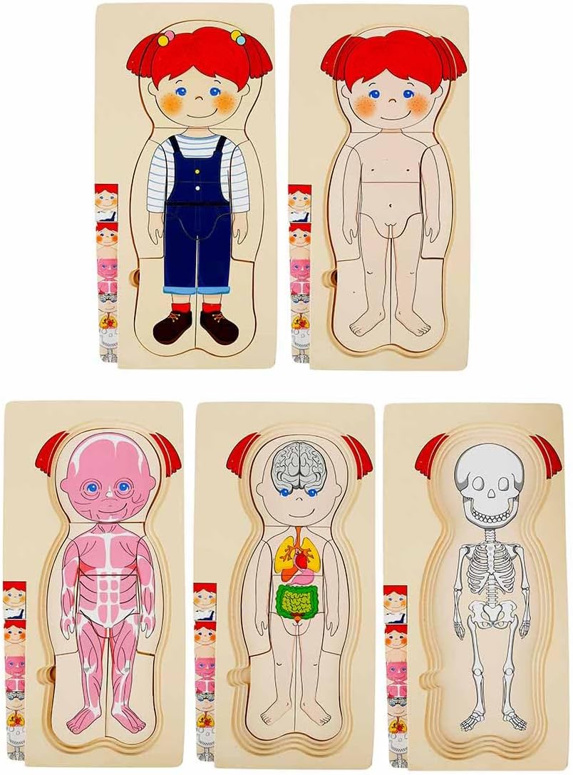 Tahta Puzzle 4X7 Parça insan Vücudu