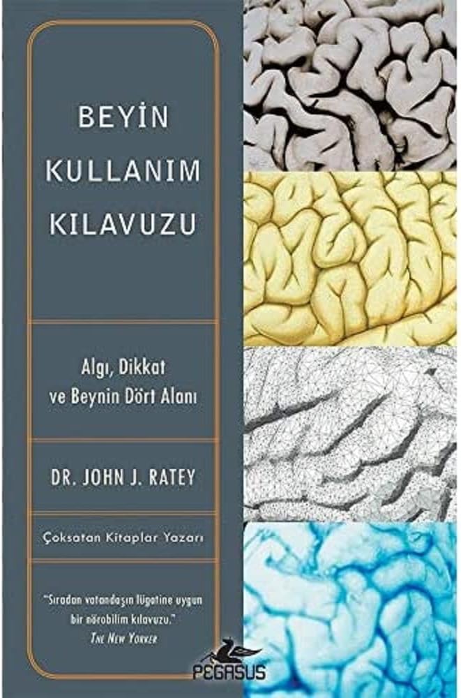 Beyin Kullanım Kılavuzu