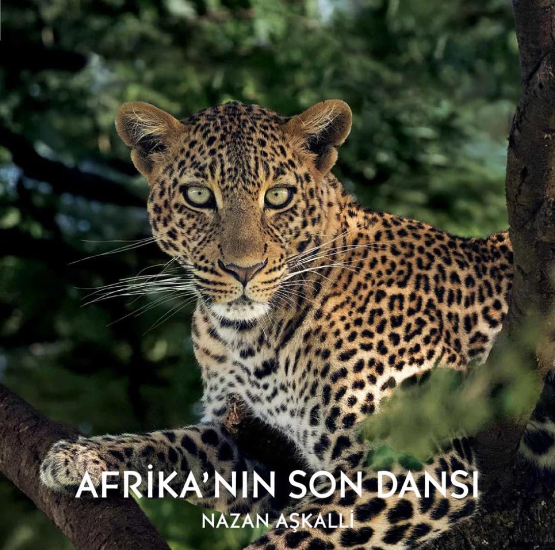 Afrika’nın Son Dansı (Ciltli)