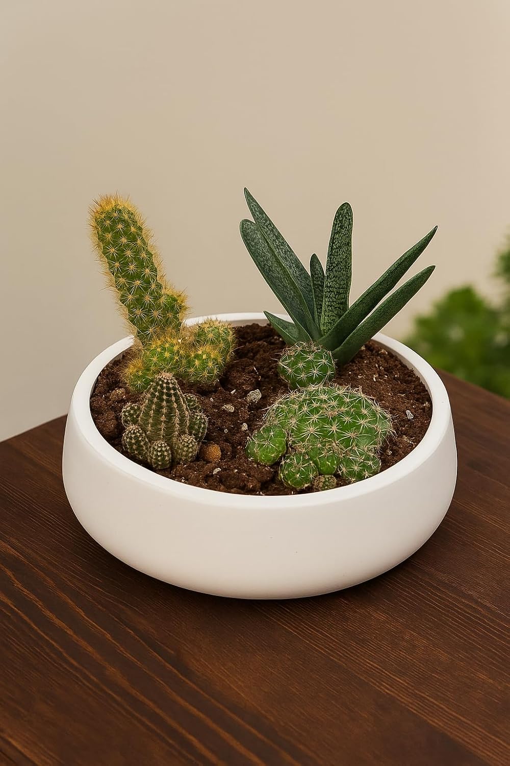 71jwIKGCzrL._AC_SL1500_