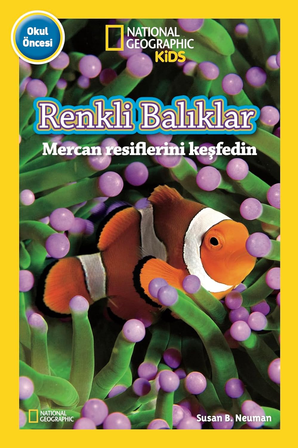 Renkli Balıklar: National Geographic Kids - Okul Öncesi (Kapak Değişebilir)