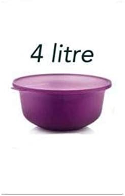 Aloha Kapaklı Büyük Saklama Kabı 4 Litre Mor