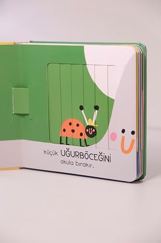 Sihirli Pencereler - Hayvanlar