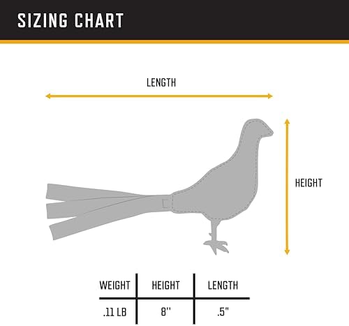 31mI1lvns4L._AC_SL1500_-1