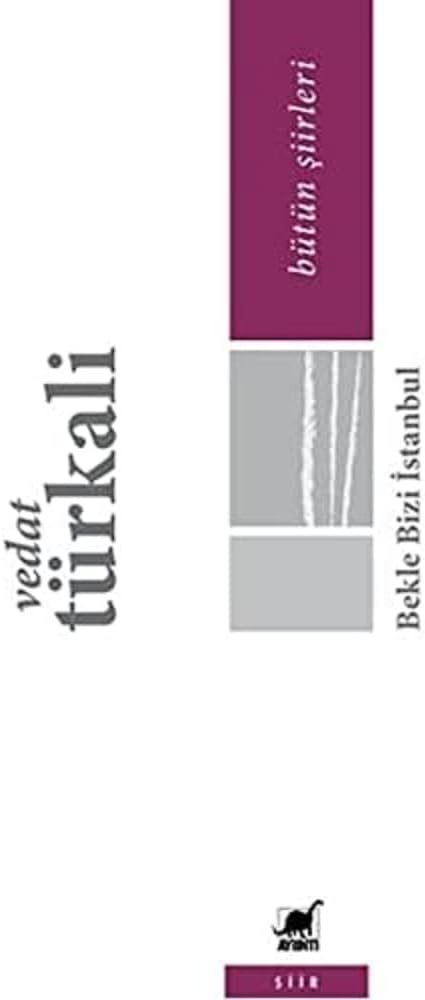 Bekle Bizi İstanbul: Bütün Şiirleri