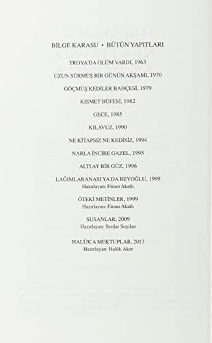 Ne Kitapsız, Ne Kedisiz: Denemeler 1