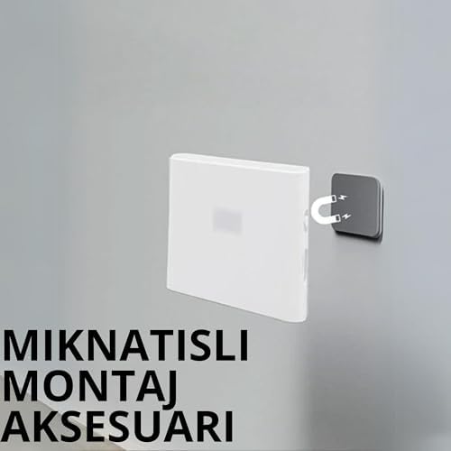 31yJe3LNRQL._AC_SL1500_-1