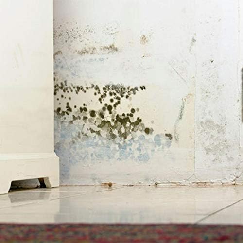 Flora Nem Alıcı 450 g 5'li Paket