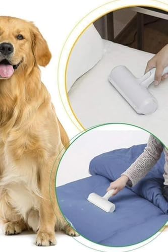 41HVoktrJnL._AC_SL1500_