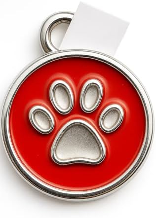 41KY10GD8PL._AC_SL1500_-1