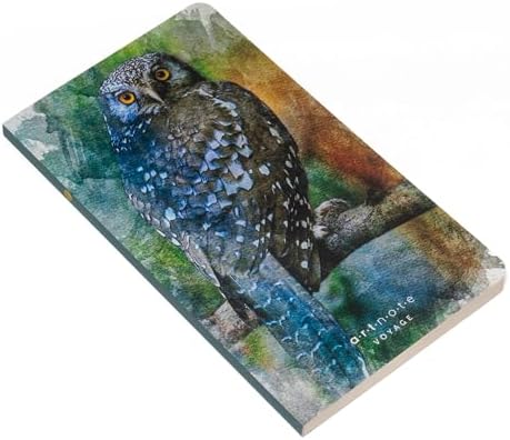 41SJvYJllLL._AC_SL1500_