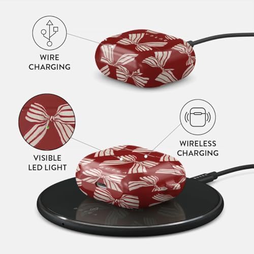 BURGA AirPods 3 ile Uyumlu Kılıf, Special Delivery