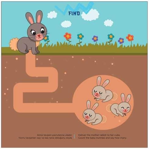 FIND (3+ Yaş) / IQ Dikkat Ve Yetenek Geliştiren Kitaplar Serisi