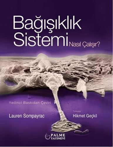 Bağışıklık Sistemi Nasıl Çalışır?