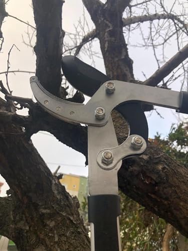 Uzatılabilir Dal Budama Makası, 5cm Çelik Bıçaklı, Ayarlanabilir Teleskopik Saplı, Bahçe Bakımı için Profesyonel Ağaç Budama Aleti