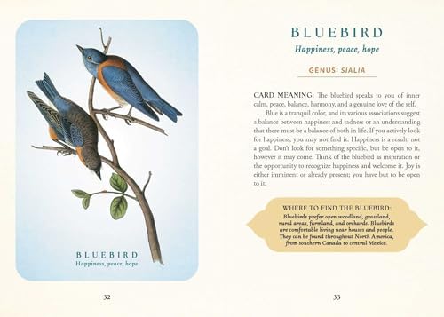 The Spiritual Meaning of Birds Oracle Deck: Discover the Wisdom & Insight of These Divine Winged Messengers