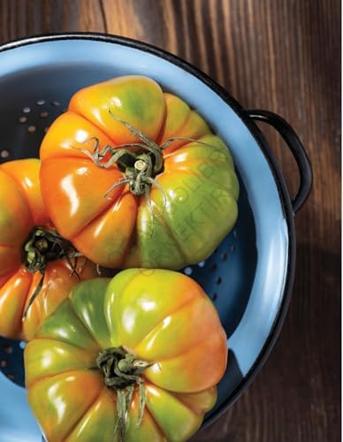 Özge Şahin İle Geleceğin Mutfağı