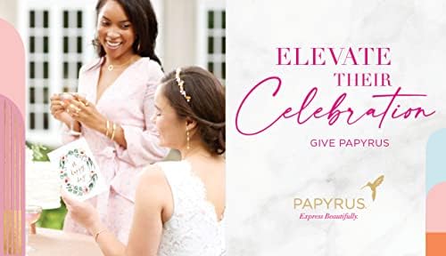 Zarflı Boş Kartlar, Sinek Kuşu, 20 Adet