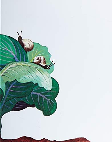 Dünyanın En Büyük Evi (Ciltli)