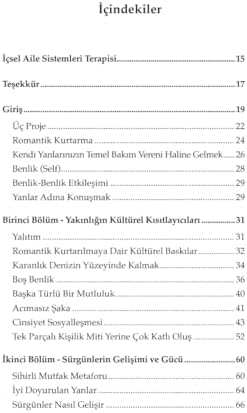 Beklediğin Kişi Sensin - İçsel Aile Sistemleri Modelinin Yakın İlişkilere Uygulanması