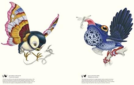 Terra Ultima: The discovery of a new continent