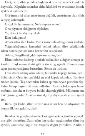 Everest Yayınları Ağustos Mavisi