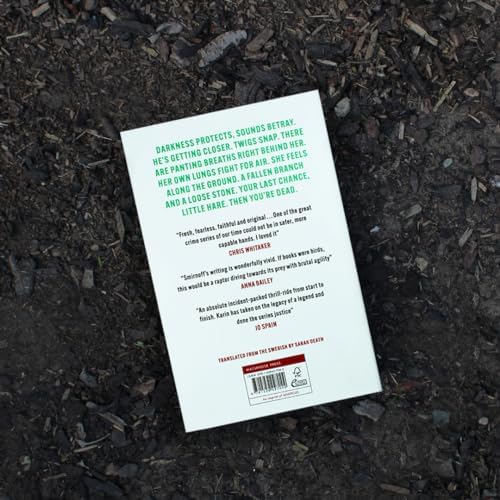 The Girl in the Eagle's Talons: The New Girl with the Dragon Tattoo Thriller