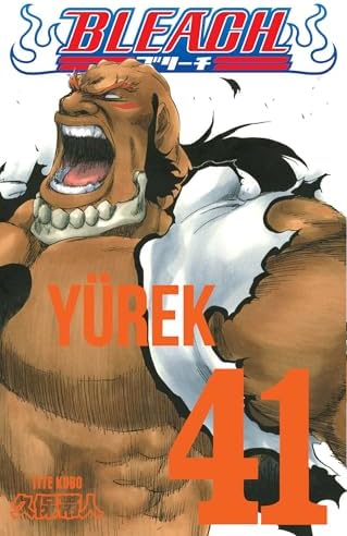 Bleach 41.Cilt