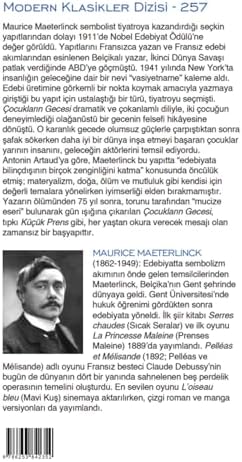 Çocukların Gecesi - On Beş Tabloda Bir Peri Masalı - Modern Klasikler 257