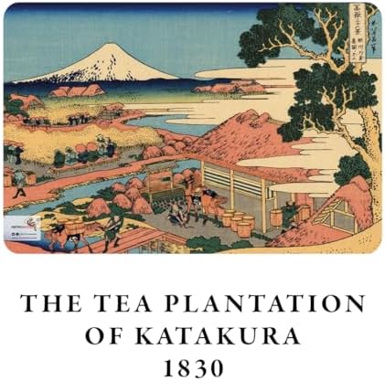 51FxbrMpcHL._AC_SL1500_